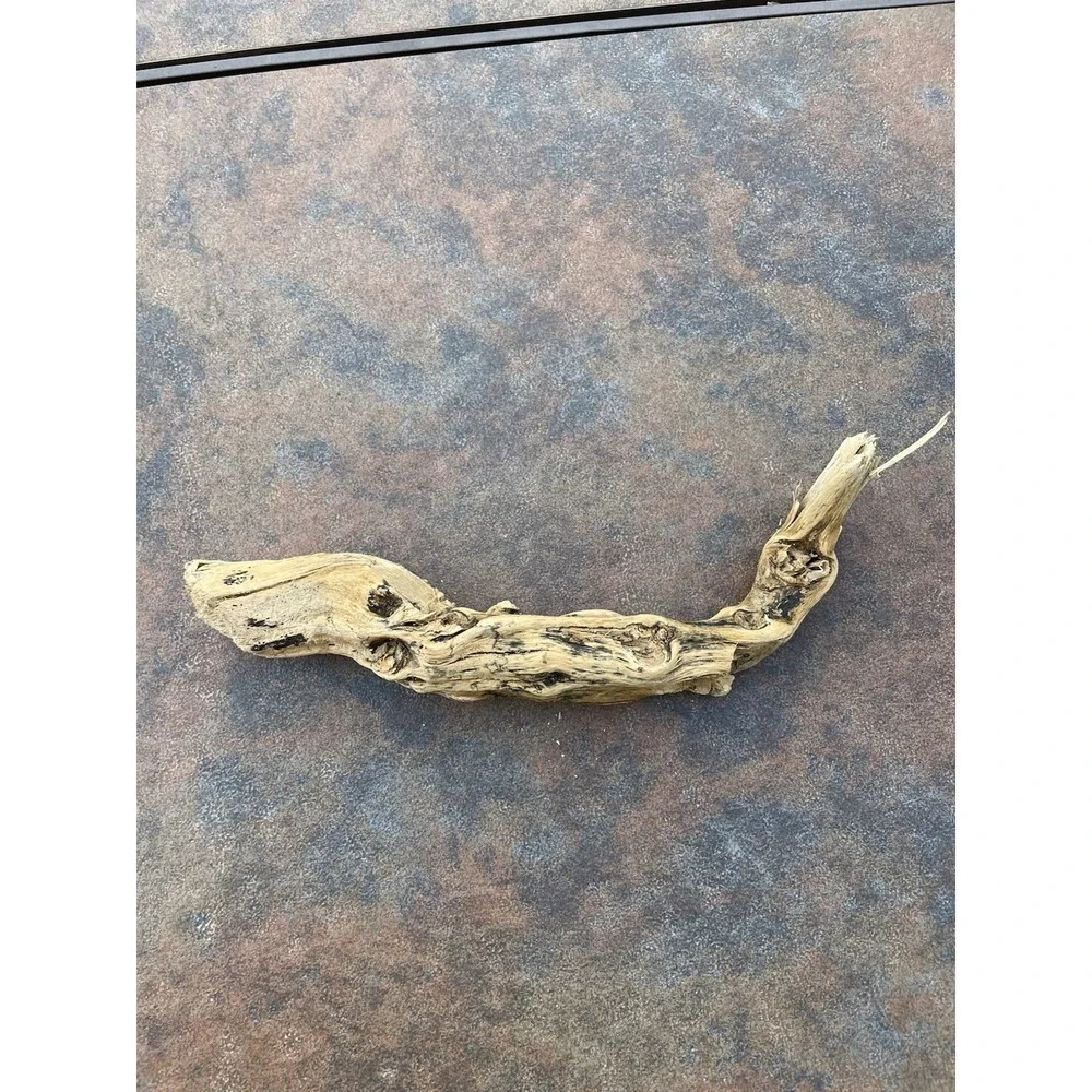Natural Driftwood for Plants Terrarium Taxidermy‎ Art Projects